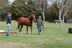 LR-WRF 0402026 Retreat-3574